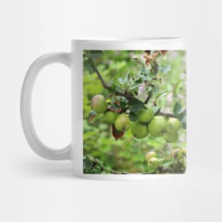 Apples Mug